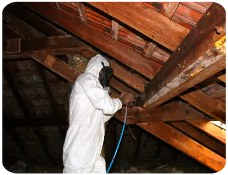 Traitement de termites toiture 28210 VILLEMEUX-SUR-EURE